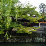 <span class="title">来館者アンケート実施中【5/18-6/8】</span>