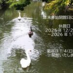 <span class="title">年末年始 開館日と休館日について</span>